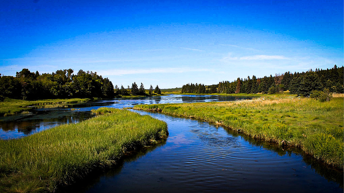 Landscape - Prince Edward Island
