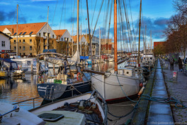 SA100104-Edit.jpg