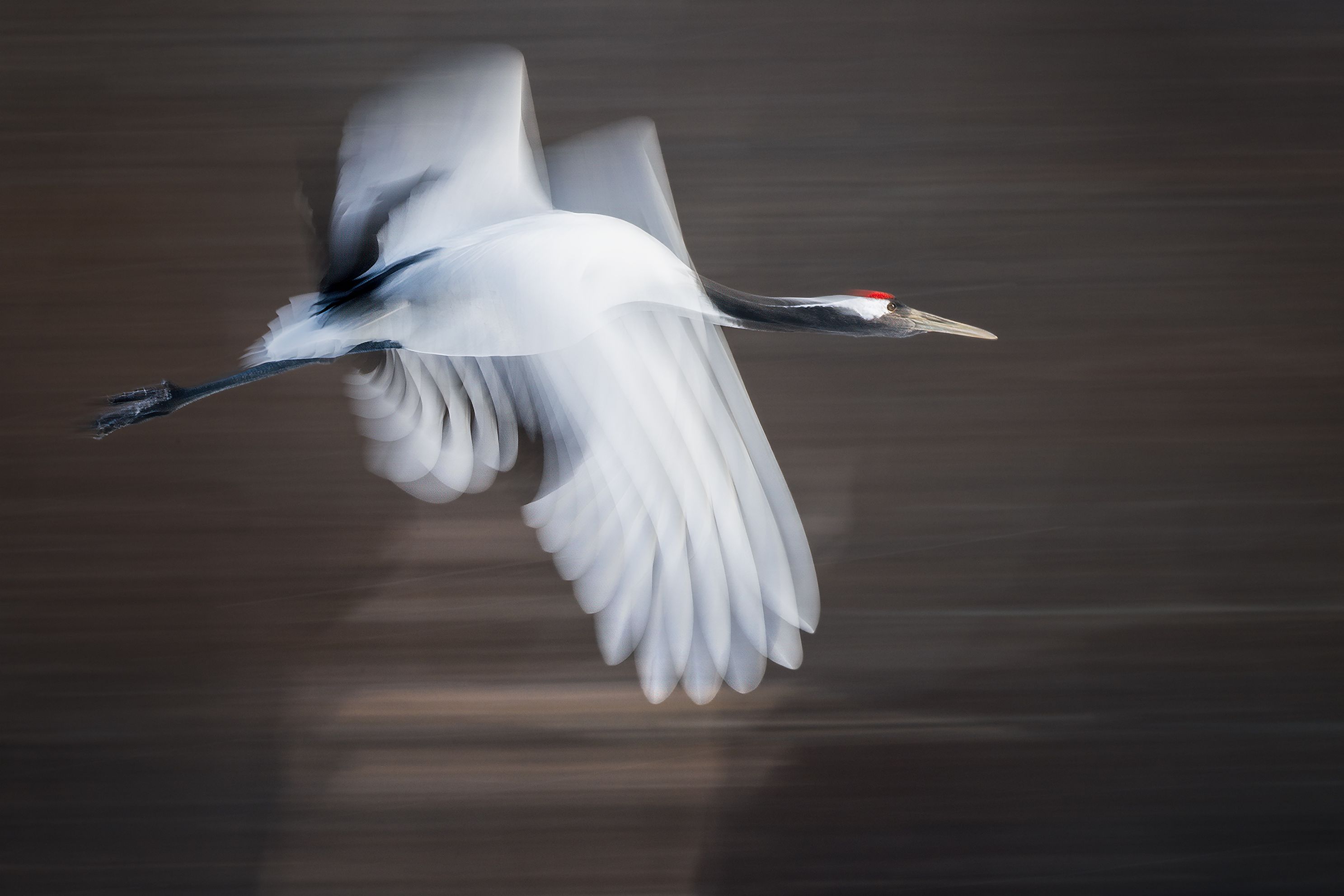 3S (Slow Shutter Speed) Gallery