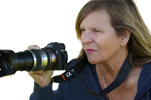 _sherylaronson-29433-removebg-preview.png