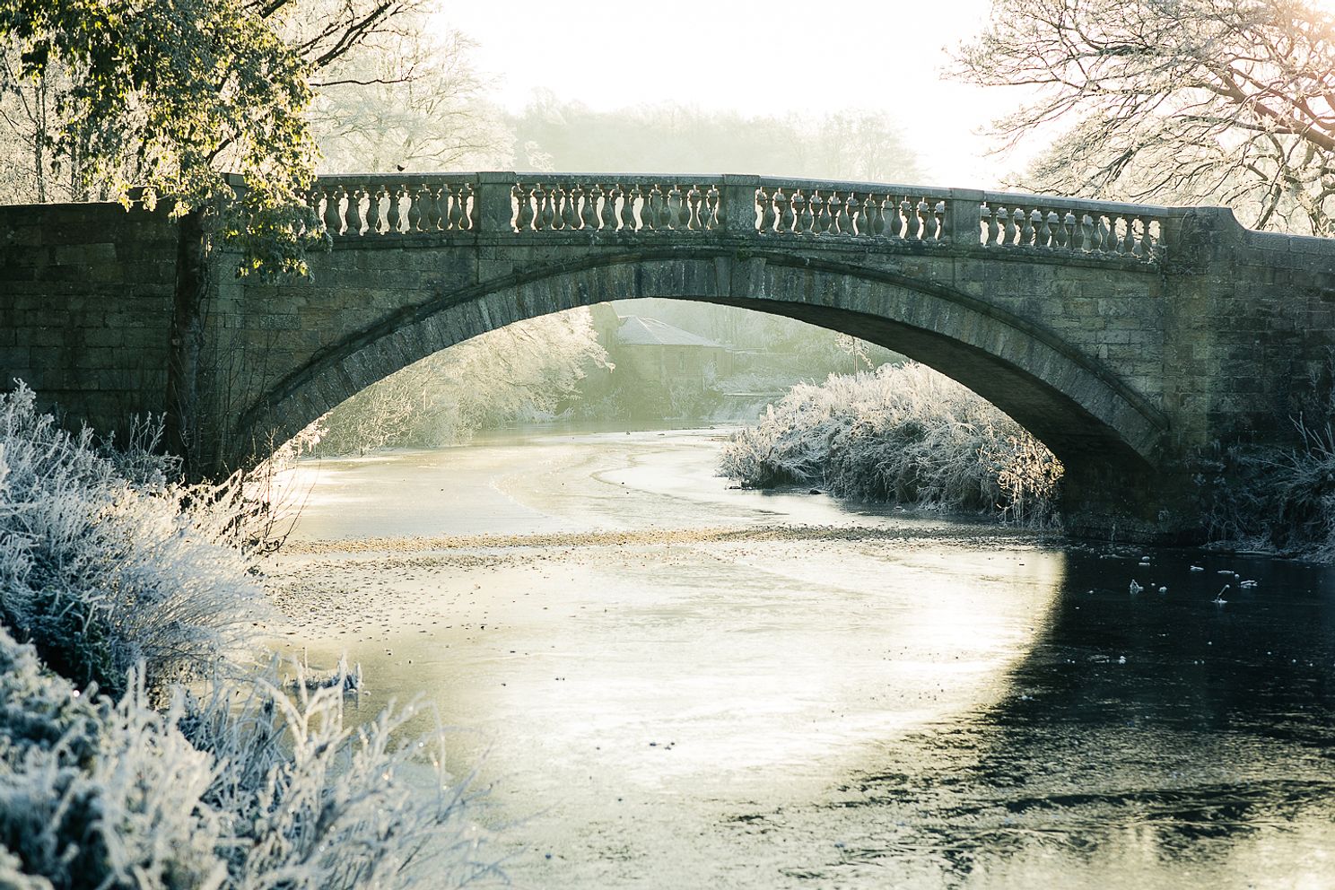 Snow Pollokshields Pollok Country Park Frozen