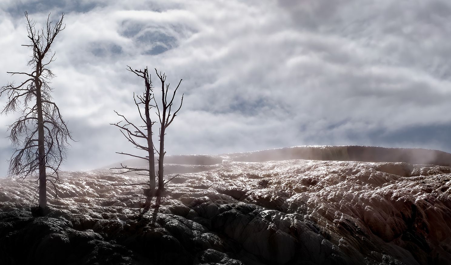 Snags surviving on the most famous of caustic springs, Mammoth