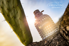 Perfume bottle beside a cactus at sunset