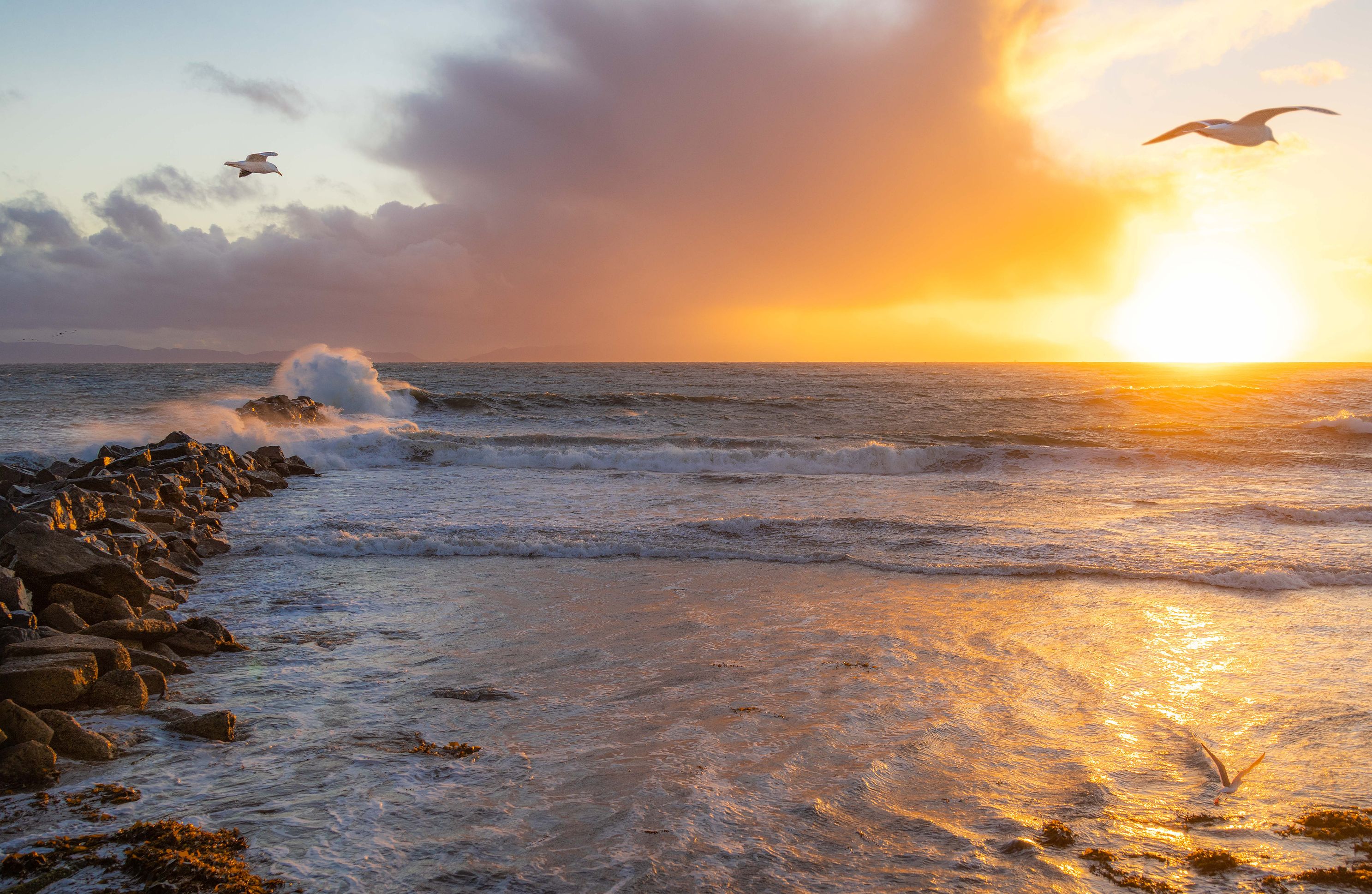 Beach, South Bay, Cabrillo Beach, LA, San Pedro, LA Harbor, landscape art photo, Tim Truby