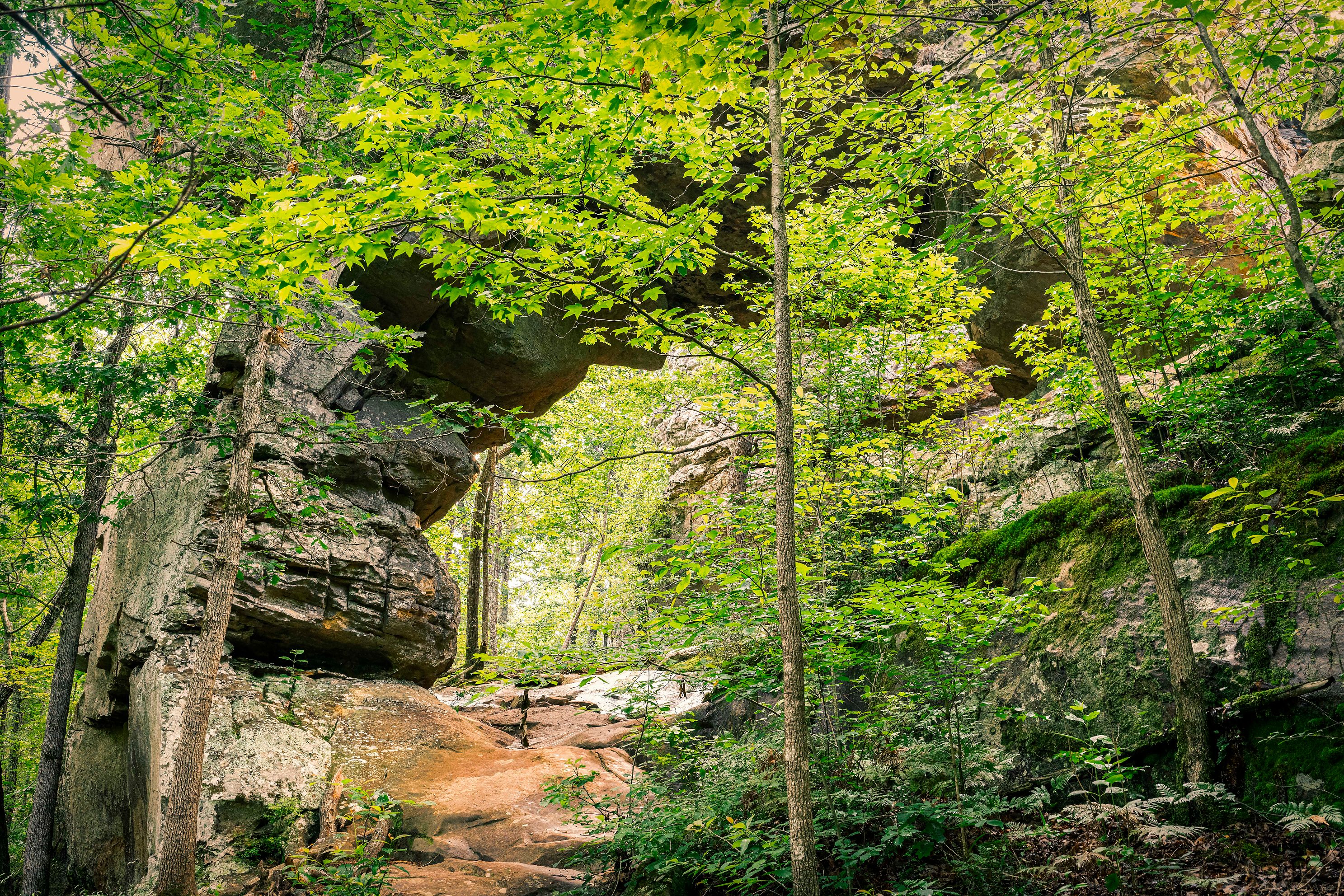 Landscape Gallery