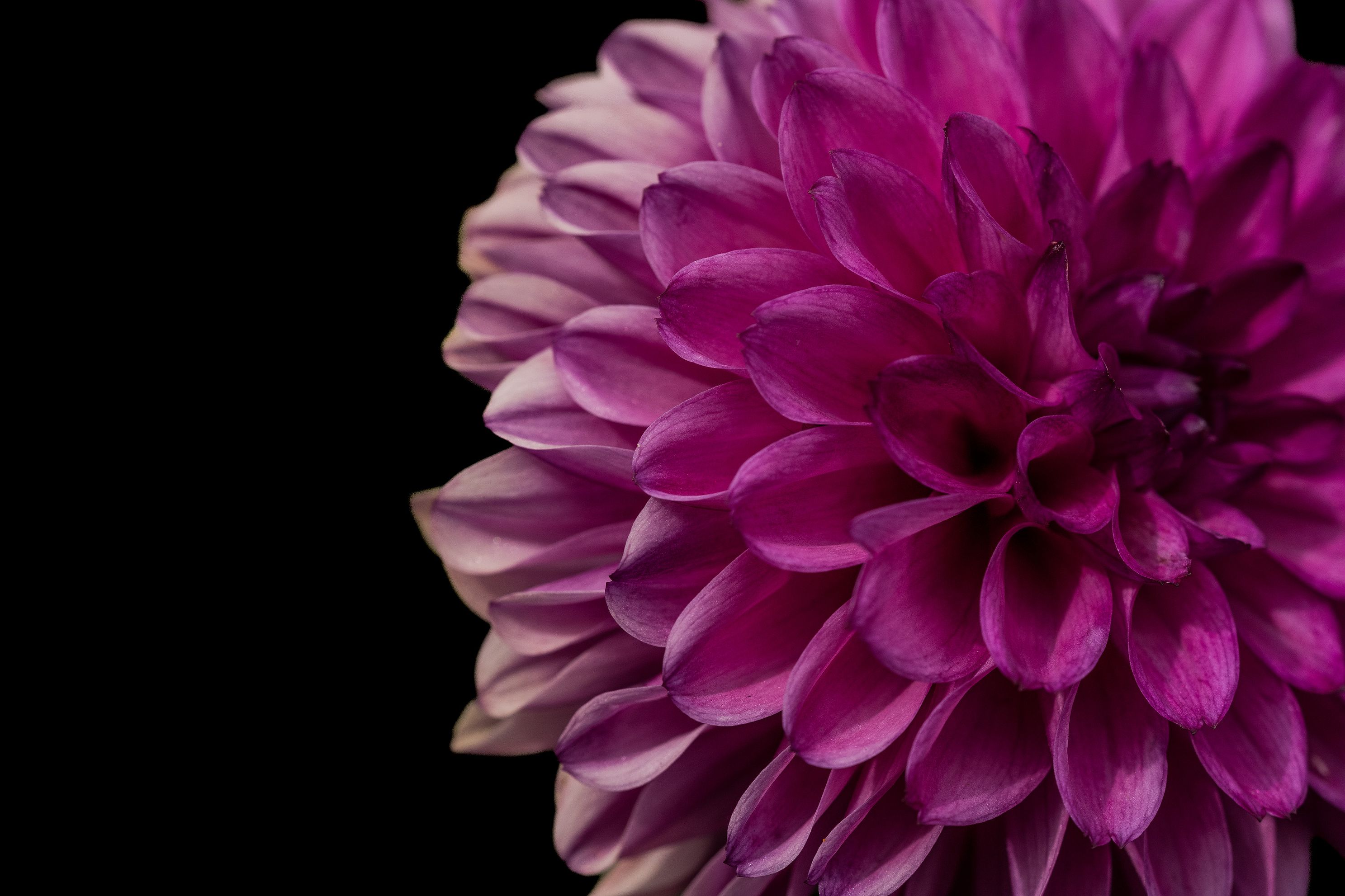 DSCjpg