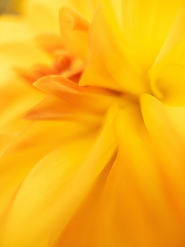 "Yellow Dance No. 2"
