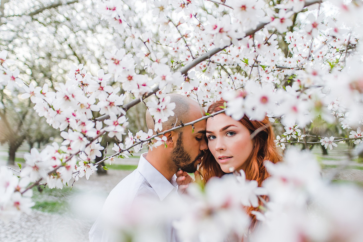 A couple, engagement shoot, done amongst almond blossoms.  Photo by ShootAnyAngle.com.
