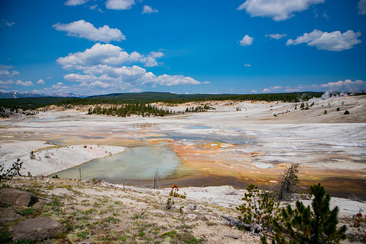 Yellowstonejpg