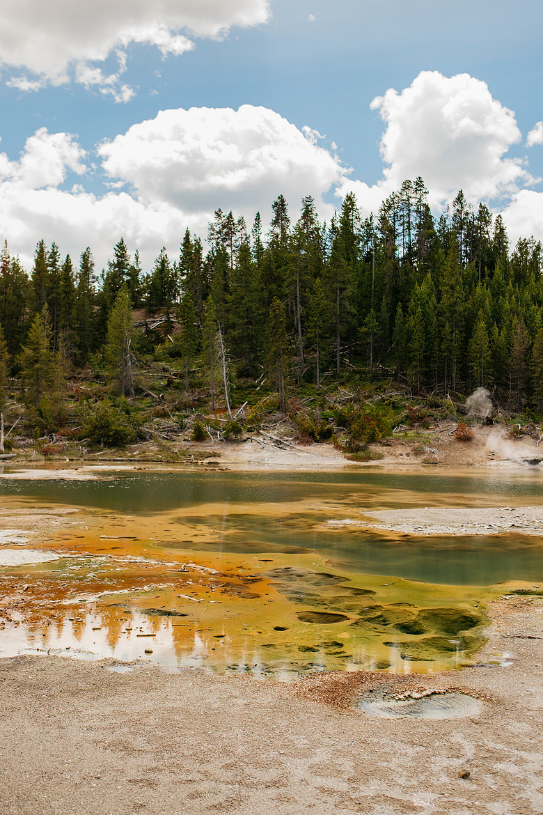Yellowstonejpg
