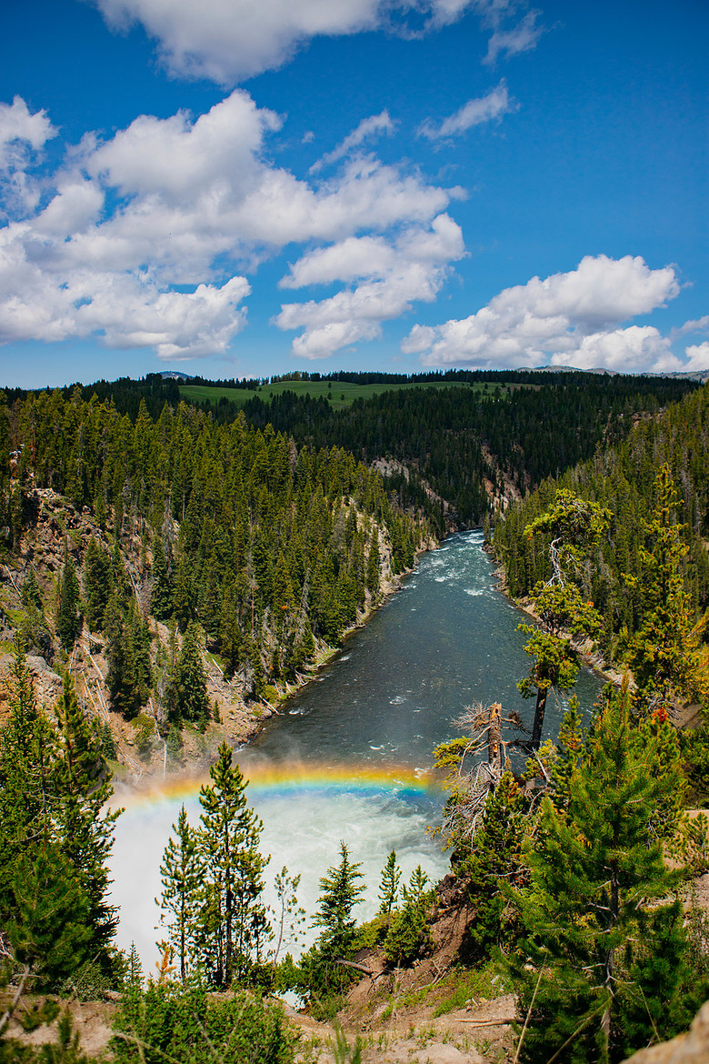 Yellowstonejpg