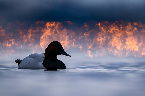 Fire & Ice