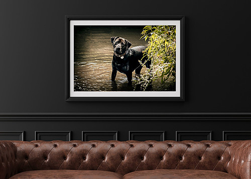 Empty picture frame on black wall in modern living room. Mock up