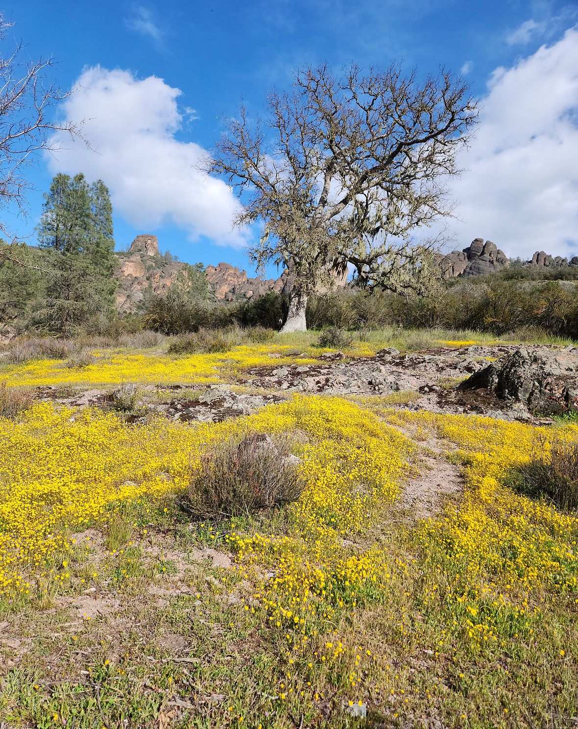 Pinnacles National Park