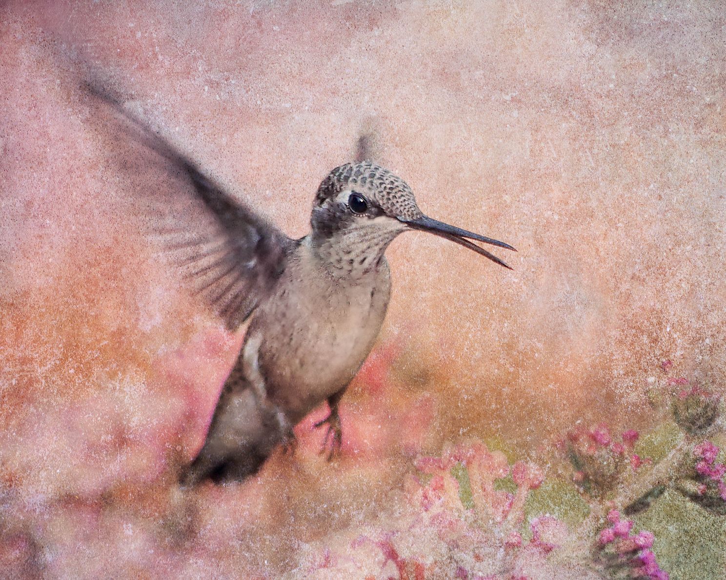 Joie de Vivre Textures-2-2.jpg