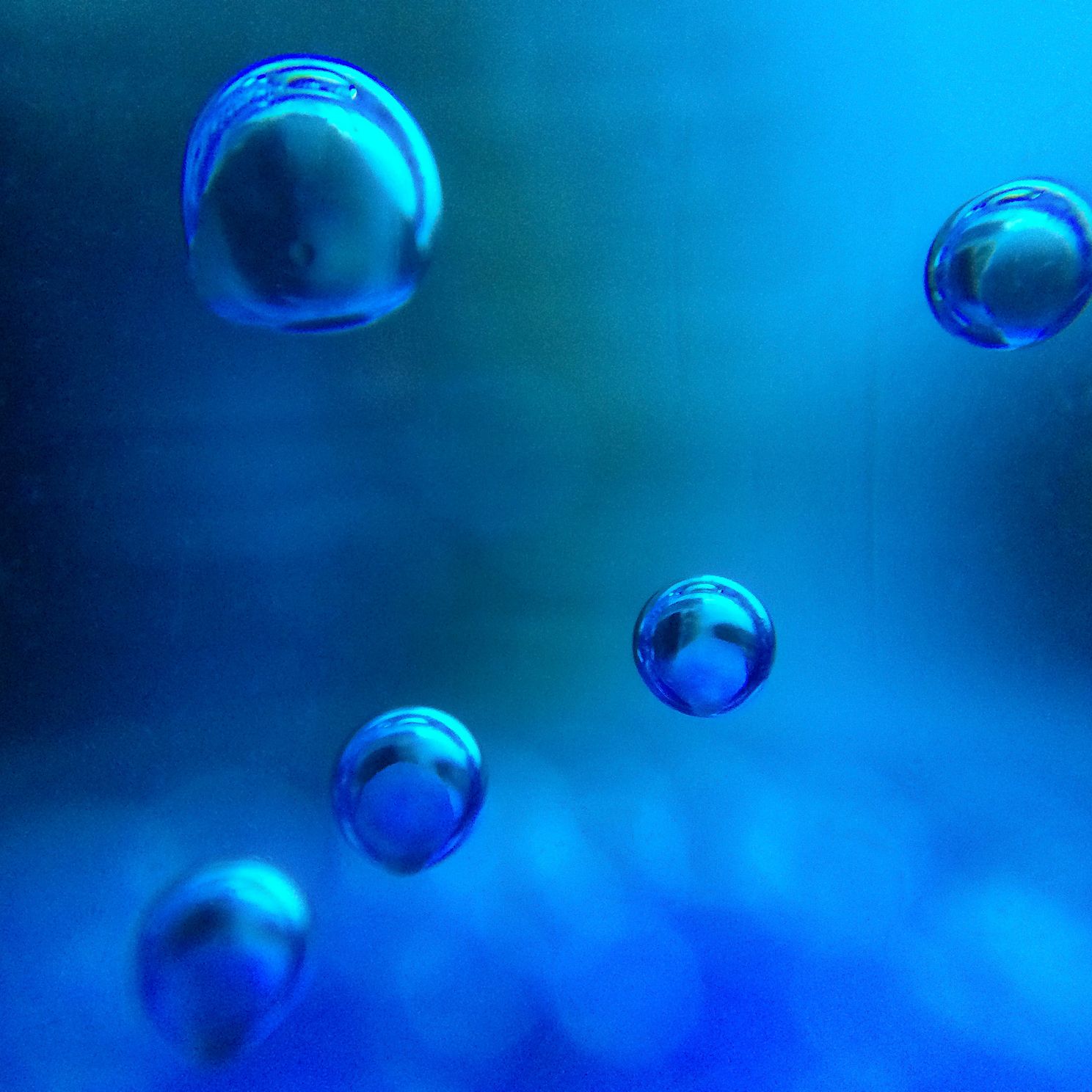 "Blue Bubbles No. 1"
