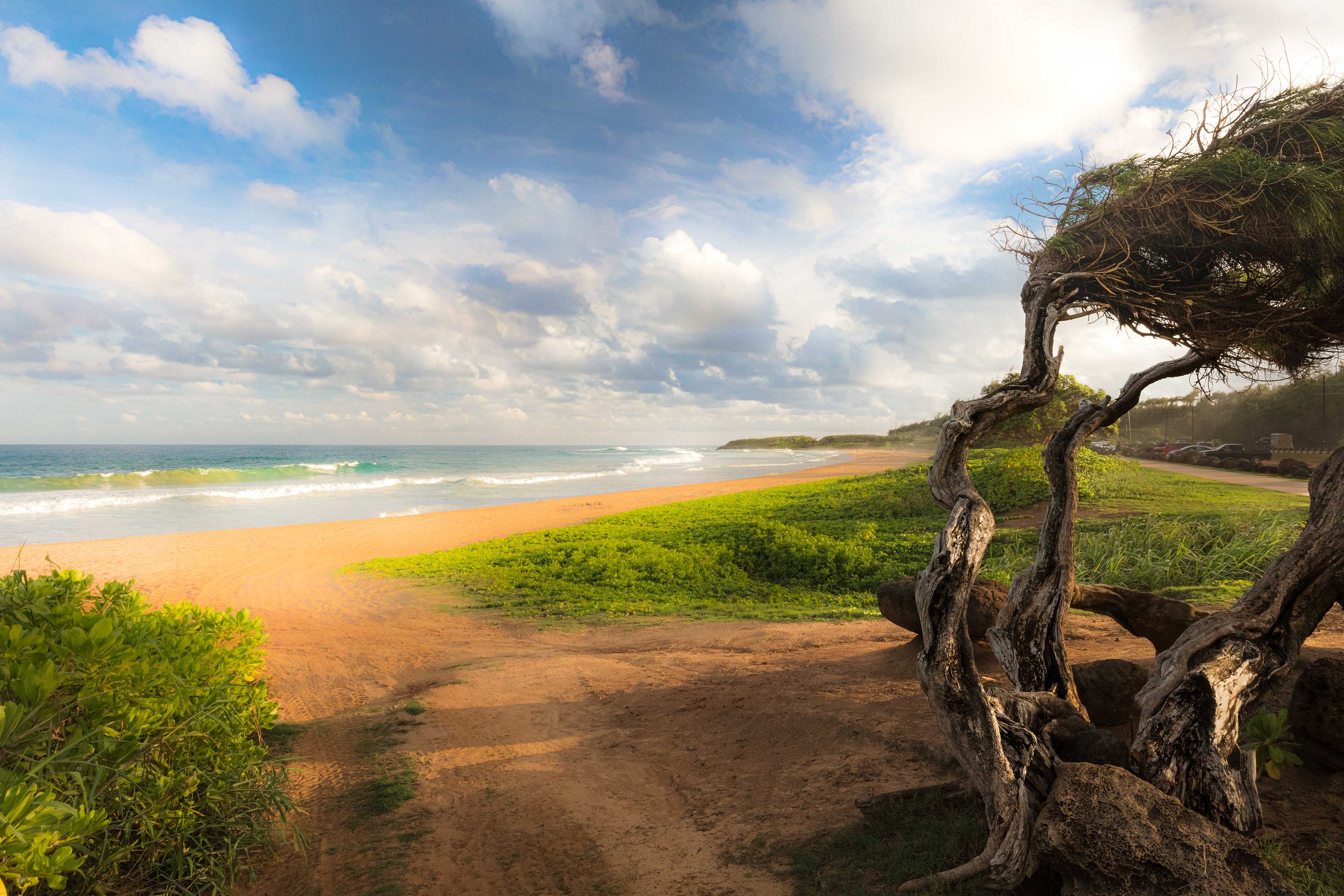 Late Afternoon, Kealia Beach