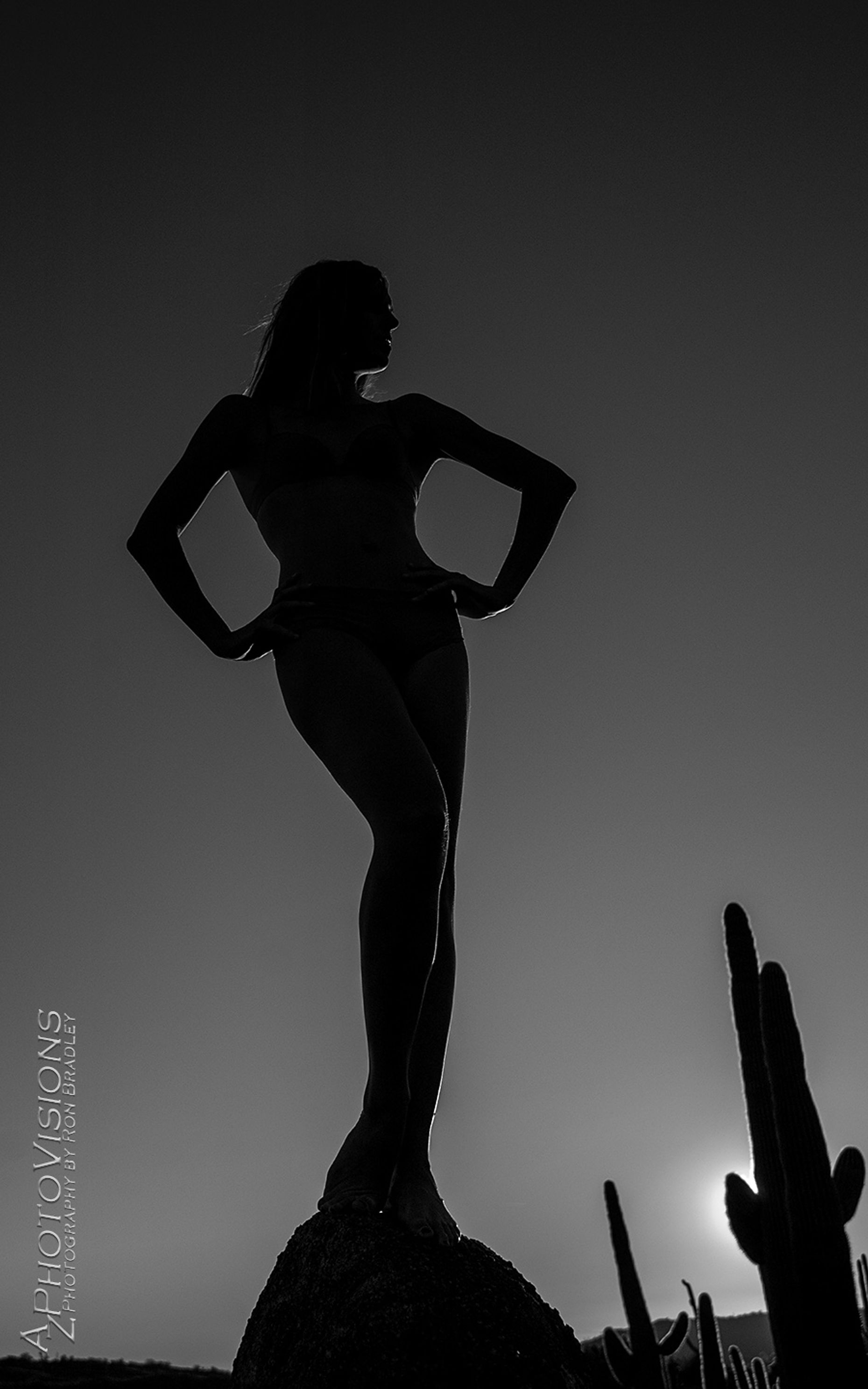 Arizona Silhouette