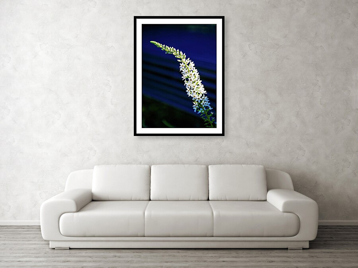 Loosestrife - Living Room setting