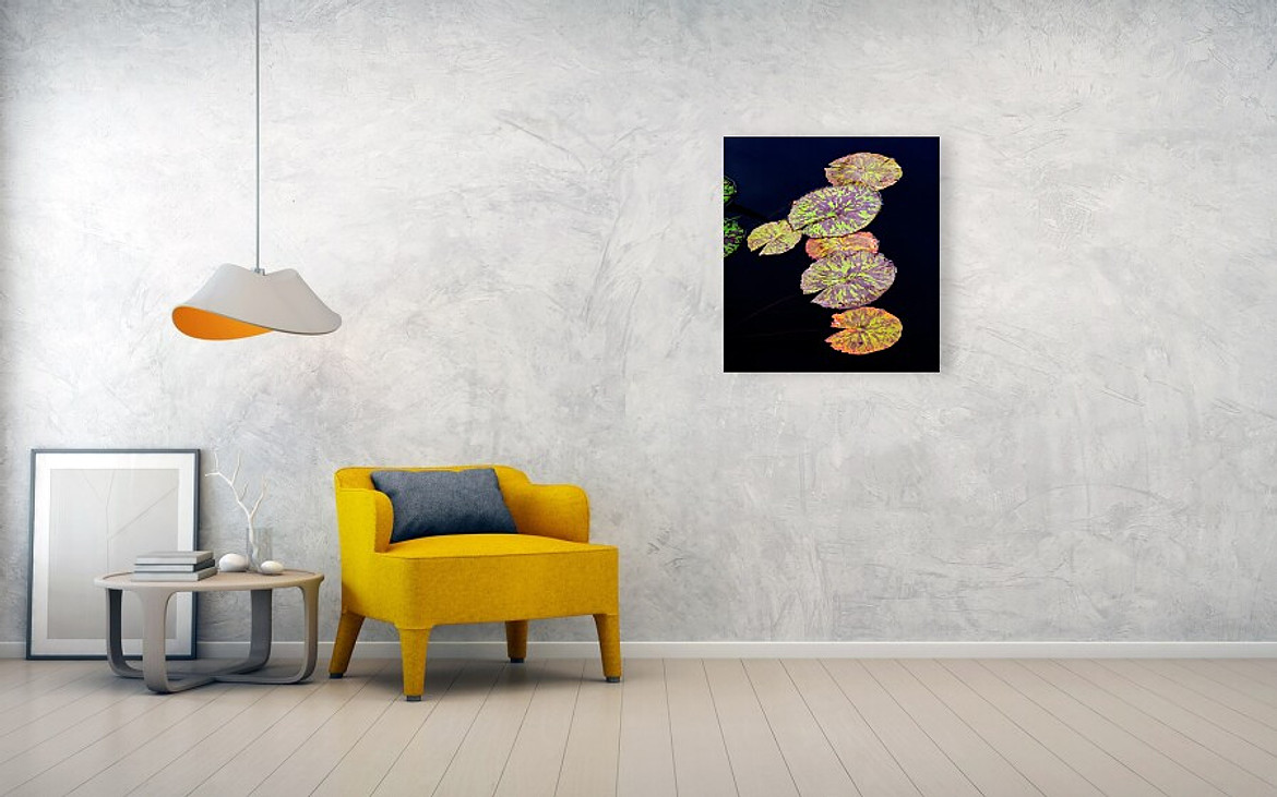 Lily Pads - Living Room setting