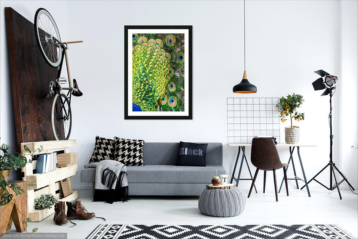 Many Eyes - Living Room setting