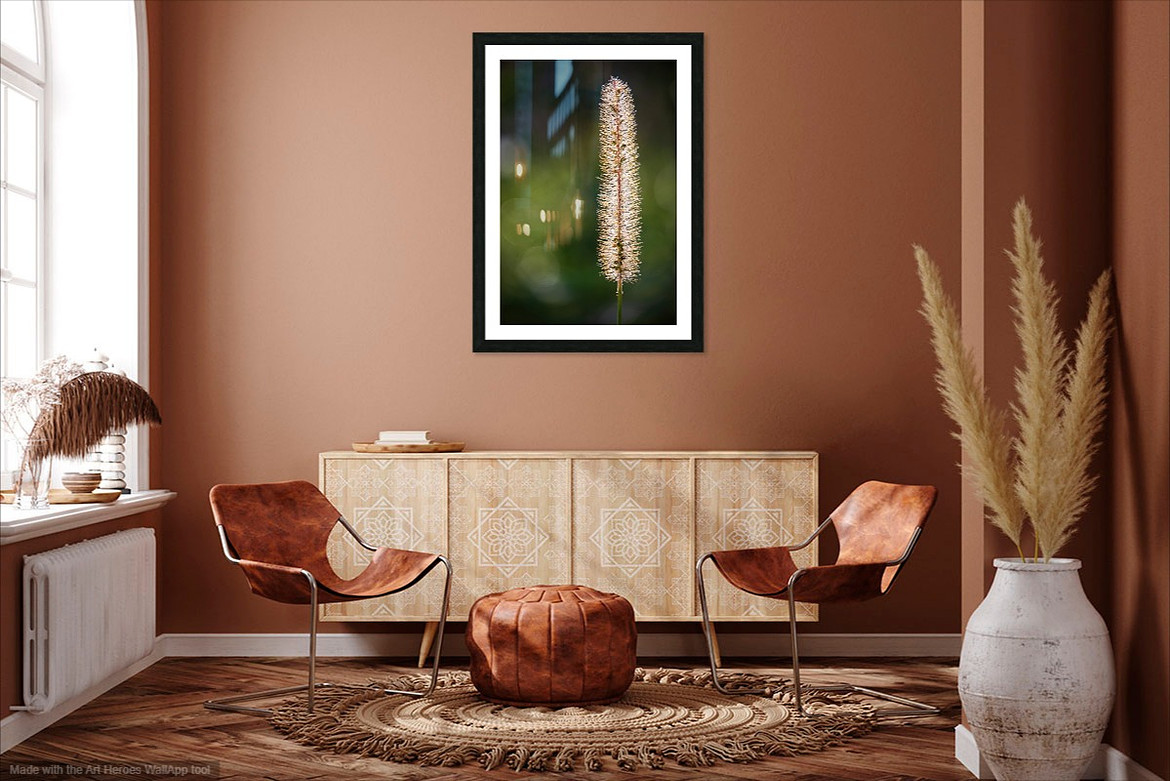 Foxtail Glow  - Office setting