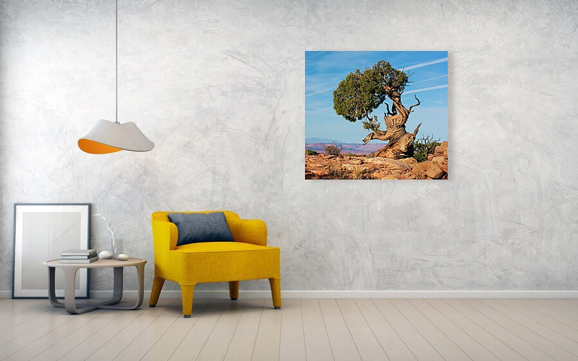 A Twisted Pine - Living Room setting