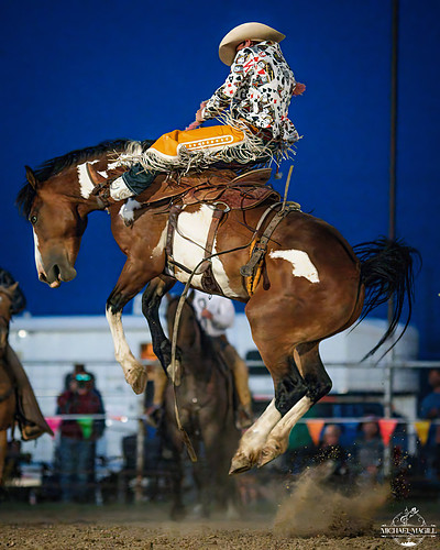 DSC_6283Full Resolution.jpg