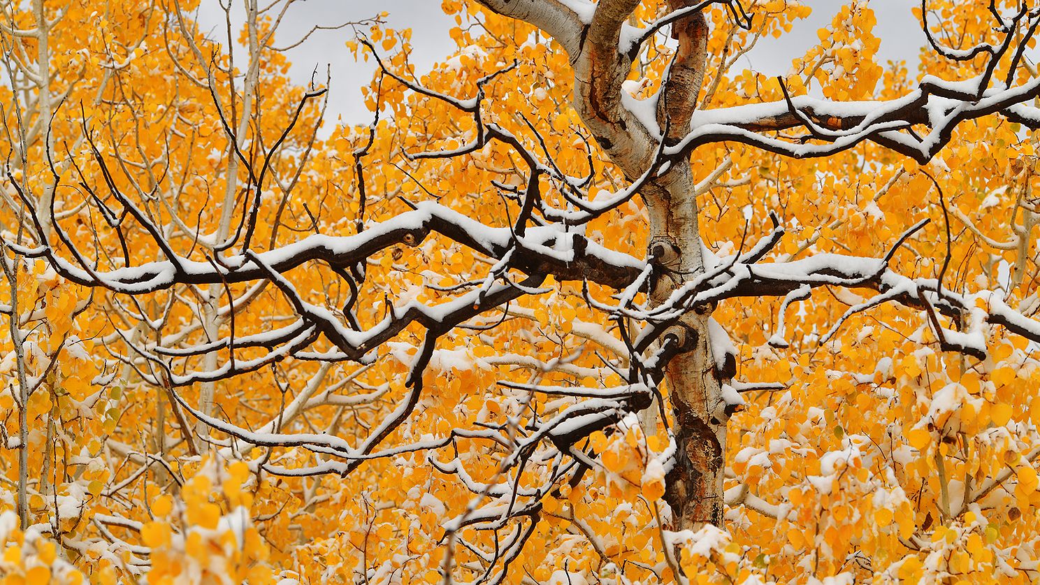 Steens Mountain Fall Colors
