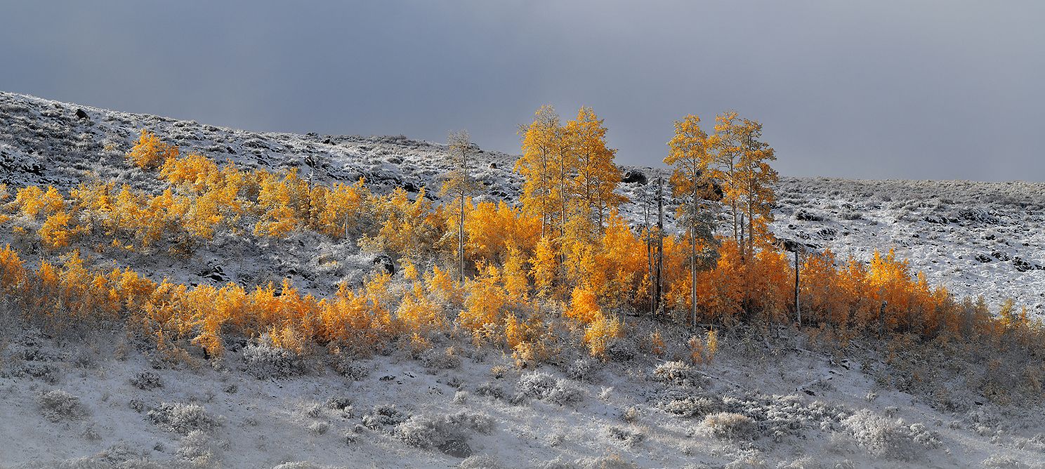 Steens Mountain Fall Colors