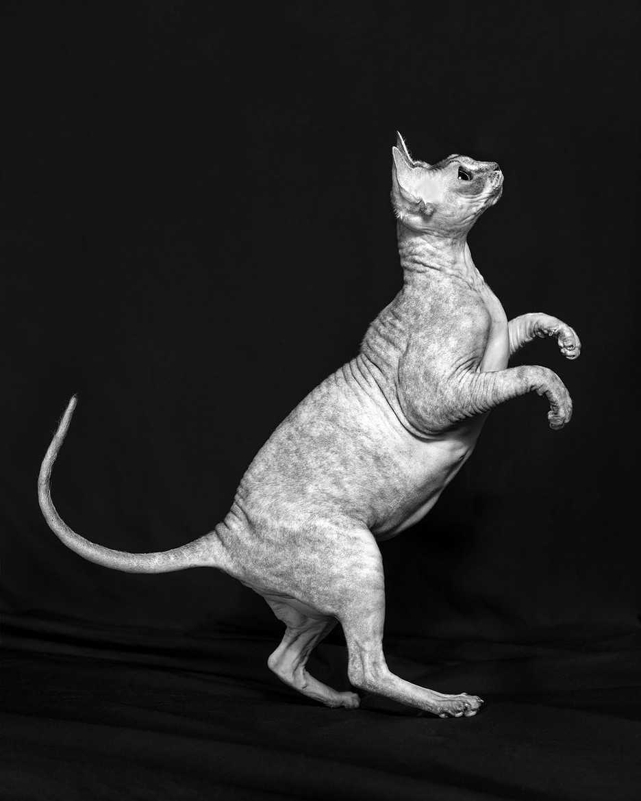 Izzy Full Sizejpg