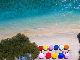 Parasols in multicolour on a white sand beach next to aquamarine clear waters with a turtle