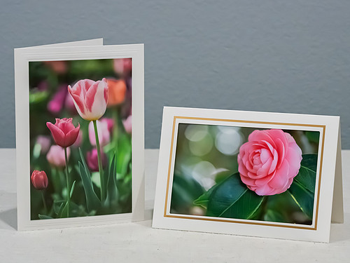 note card sample-3881.jpg