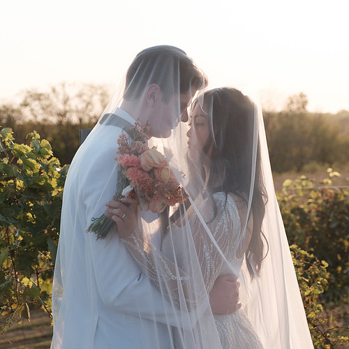 Vineyard Bride Groom Under Veil Golden Hour.jpg