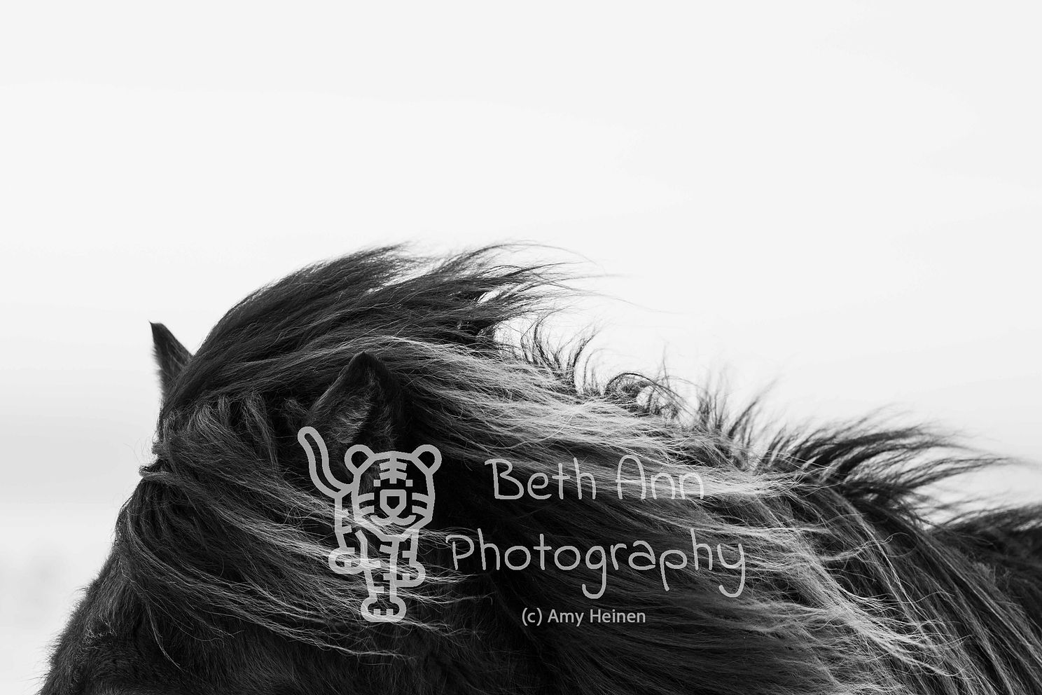 Windblown