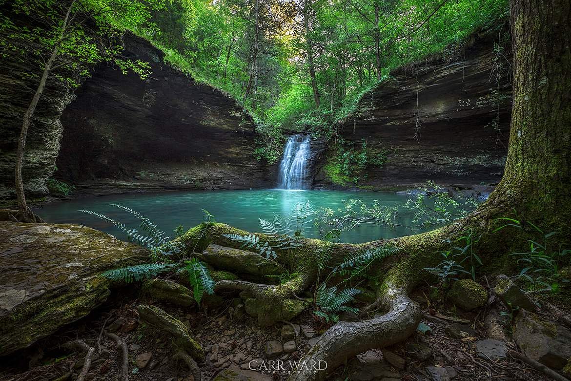 FiddleheadFallsWMjpg