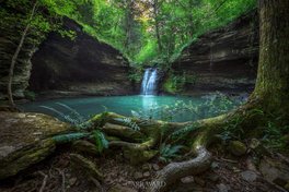 FiddleheadFallsWMjpg