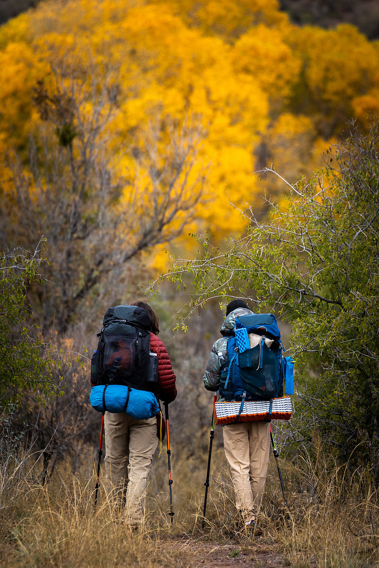 DavisMountainsFallFoliagejpg