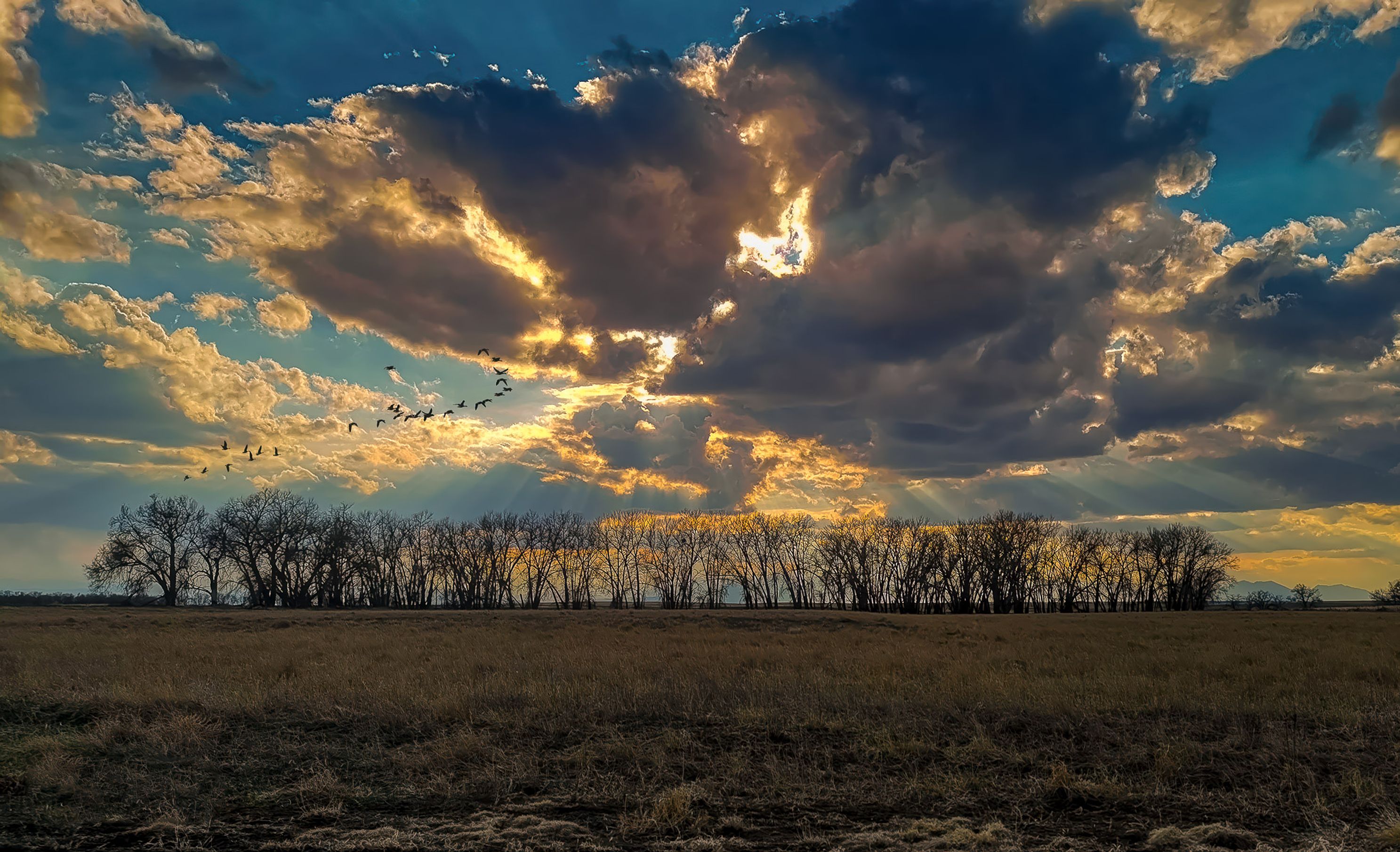 Painted by Nature
