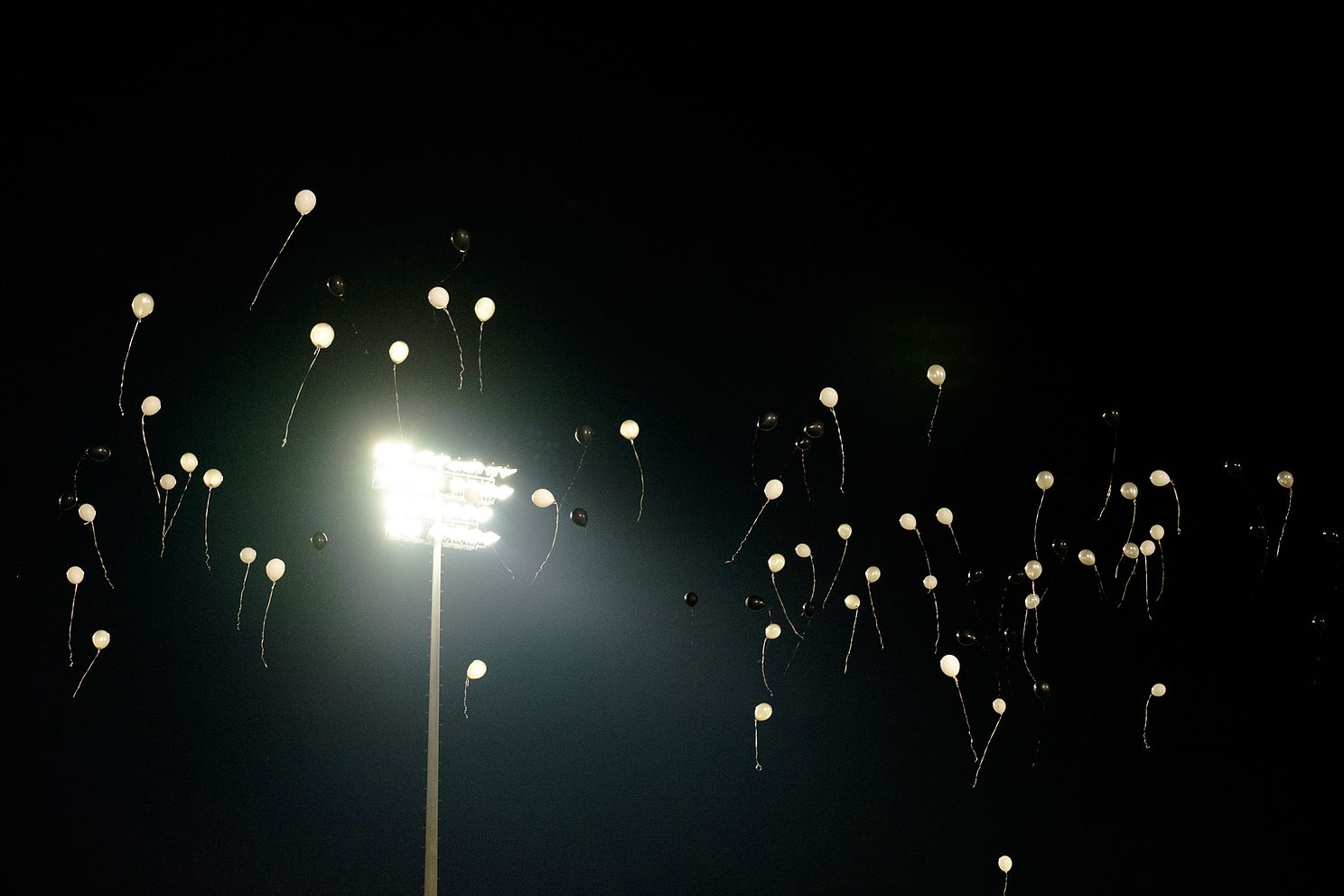 Tyler Elrod Photography jpg