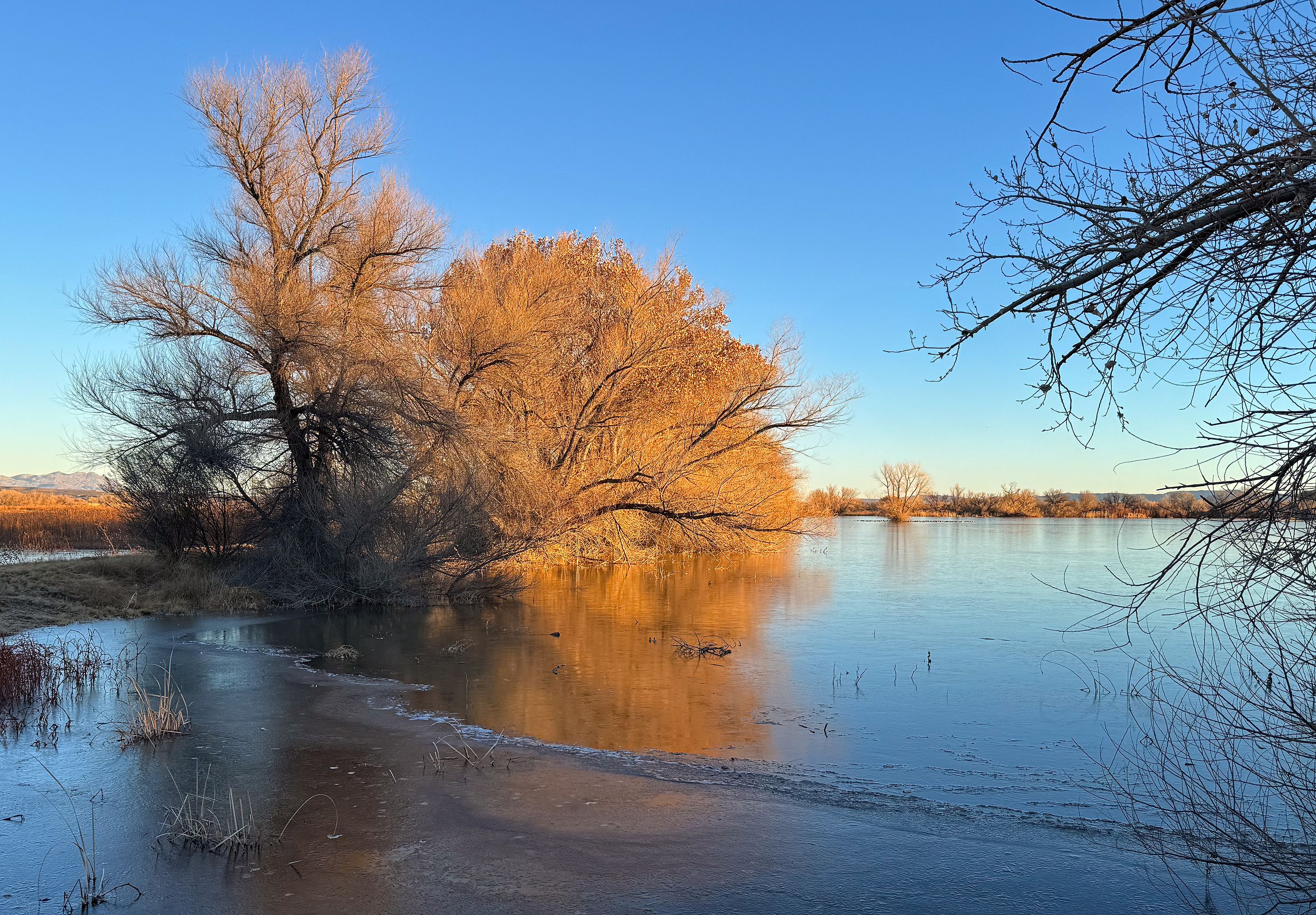 Frozen Lake Bosque del Apache, New Mexico, bird sanctuary, landscape photo art, Truby