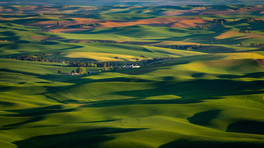 Palouse Homestead