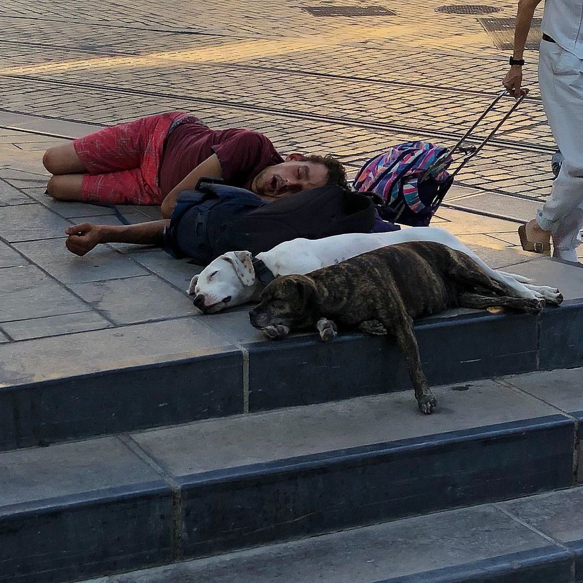 dogsownersleepjpg