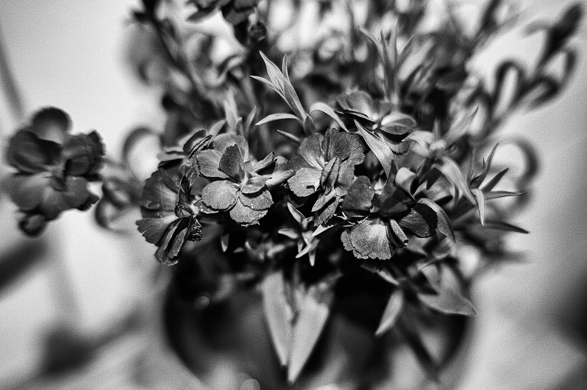 flowersbwjpg