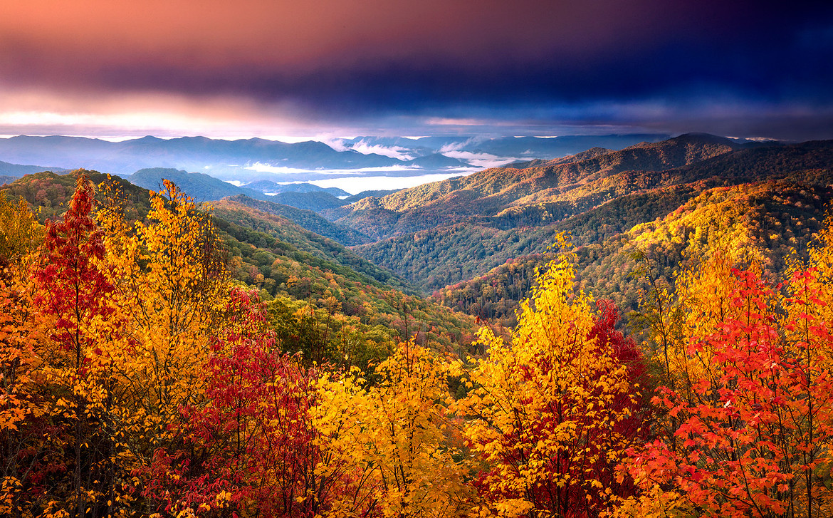 great smoky mountains national park sunrise autumn fall leaves color fog Oconaluftee  layers print