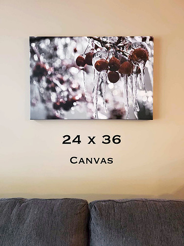 Canvas Example