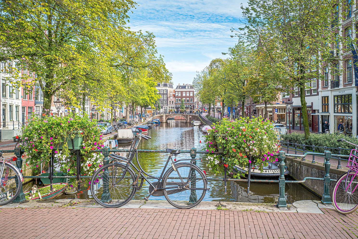 AmsterdamSharpenAIFocus copy jpg