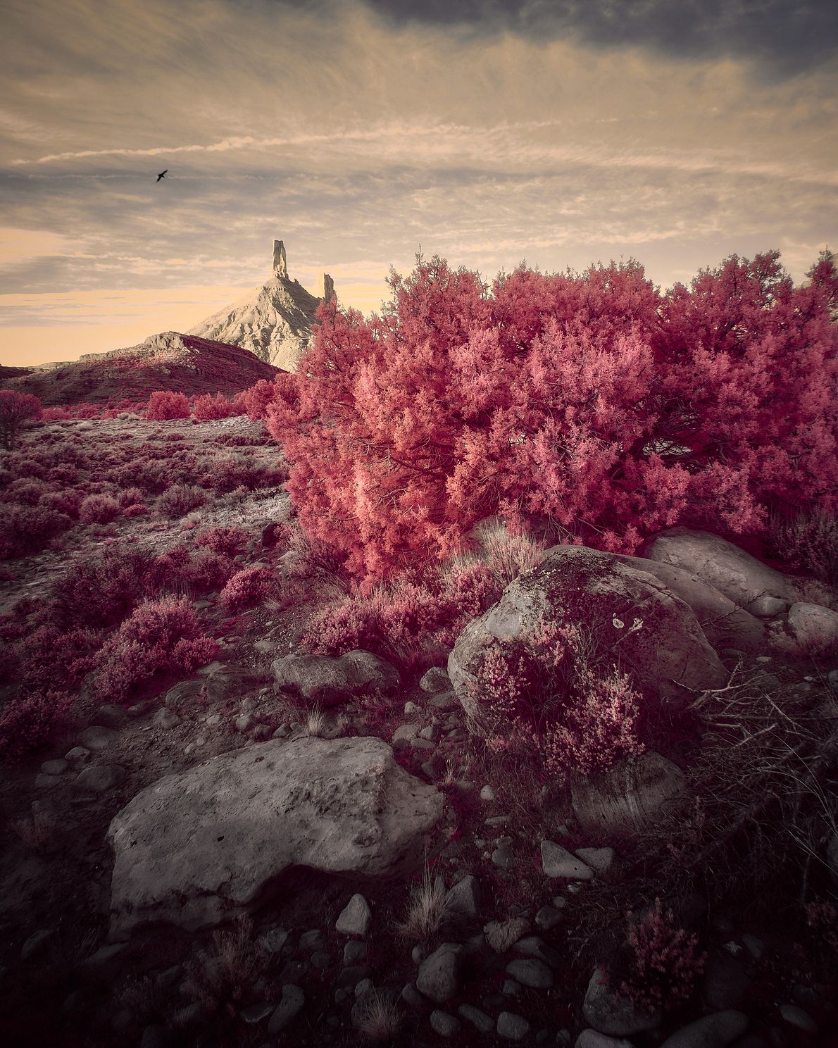 A full-spectrum sunset view of Castleton Tower in Castle Valley, Utah