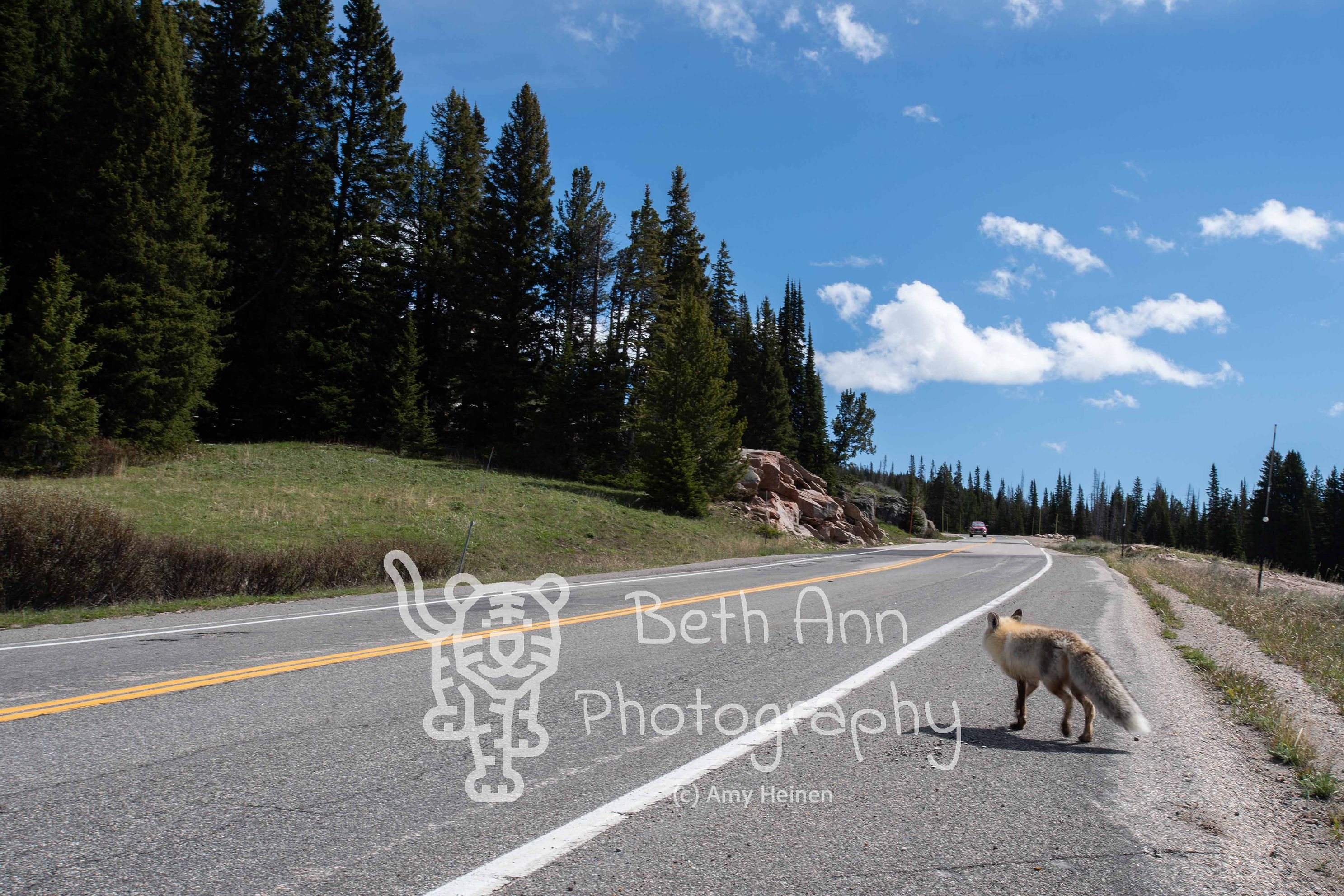 Beartooth Highway