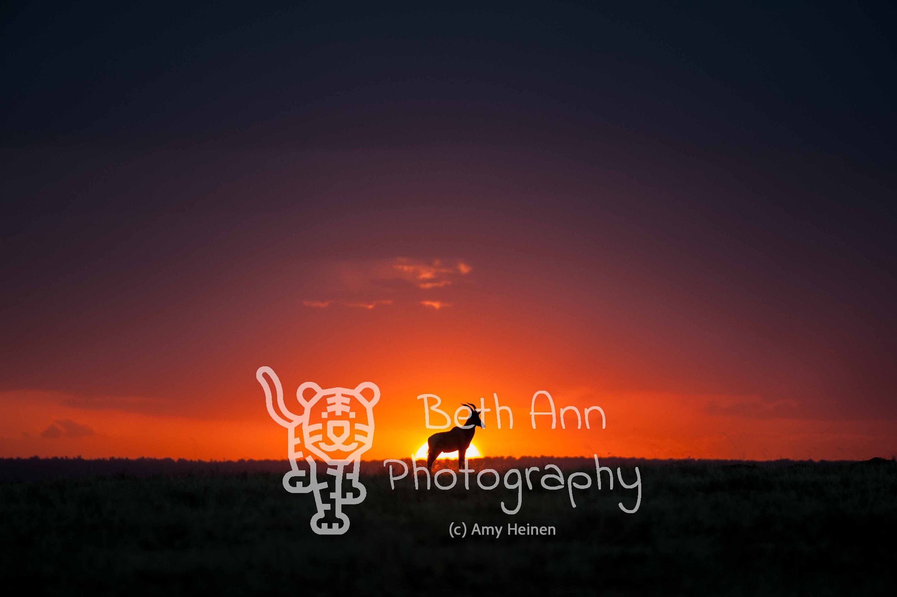 Topi Sunset